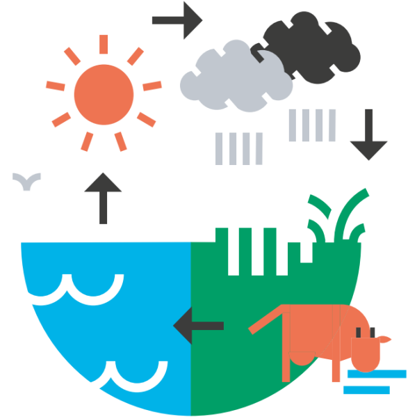 Illustration représentant le cycle de l'eau douce